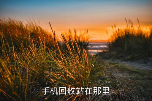 手机回收站在哪里找到，手机回收站在哪里找