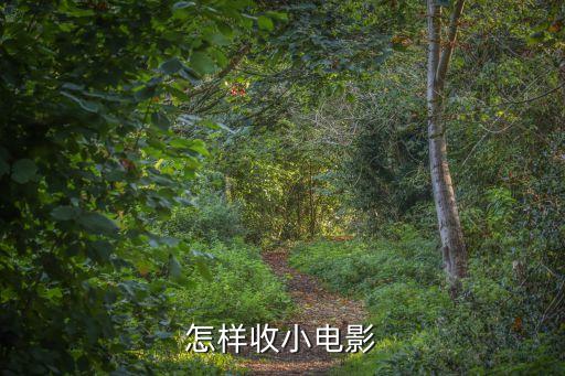 哪里回收短视频，怎样收小电影