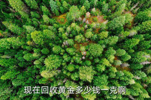 现在回收黄金多少钱一克啊