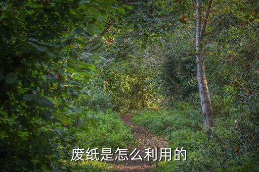 废纸是怎么利用的