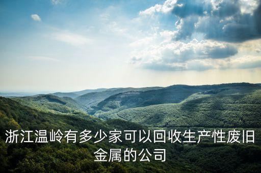 浙江温岭有多少家可以回收生产性废旧金属的公司