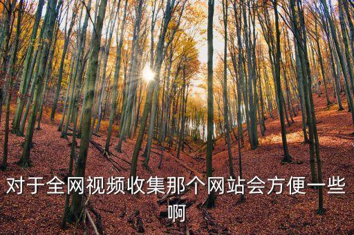 对于全网视频收集那个网站会方便一些啊