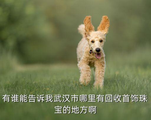 有谁能告诉我武汉市哪里有回收首饰珠宝的地方啊