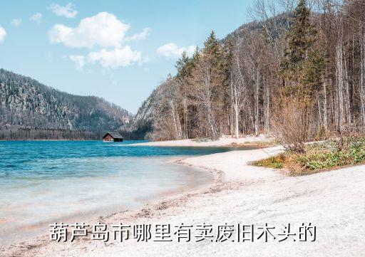 辽宁哪里有旧木板回收，葫芦岛市哪里有卖废旧木头的