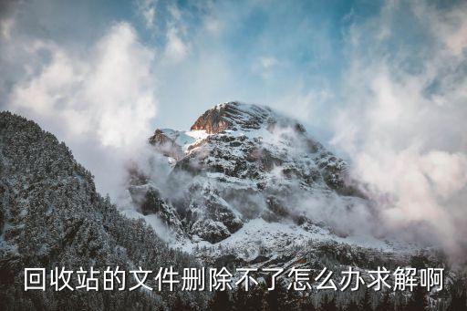 回收站的文件删除不了怎么办求解啊