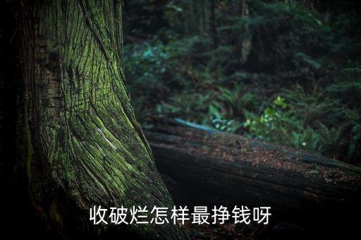 回收破烂的人怎么发家，收破烂怎样最挣钱呀