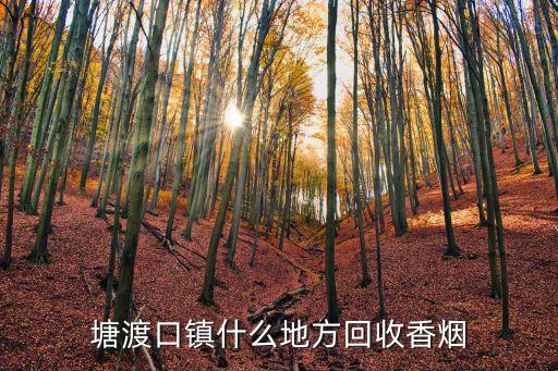 兴化市哪里有烟酒回收，盐城回收香烟在什么地方