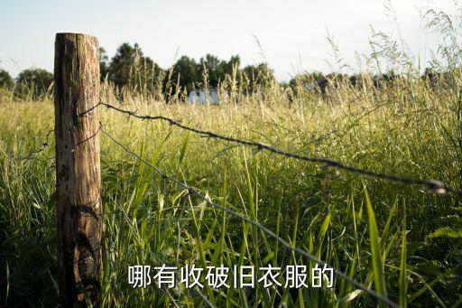 哪有收破旧衣服的