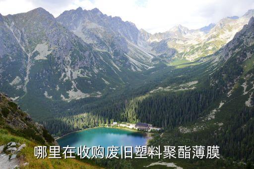 哪里在收购废旧塑料聚酯薄膜