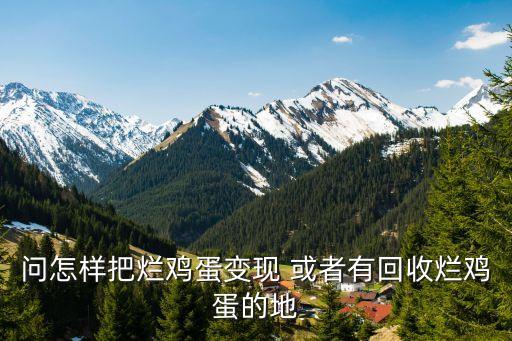 问怎样把烂鸡蛋变现 或者有回收烂鸡蛋的地