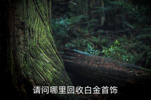请问哪里回收白金首饰
