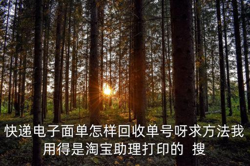 快递电子面单怎样回收单号呀求方法我用得是淘宝助理打印的  搜