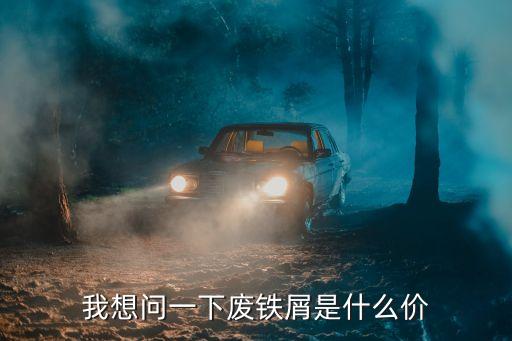 我想问一下废铁屑是什么价
