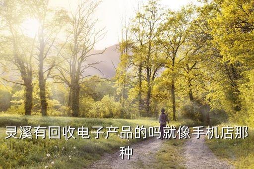 灵溪有回收电子产品的吗就像手机店那种