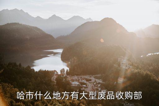 哈市什么地方有大型废品收购部