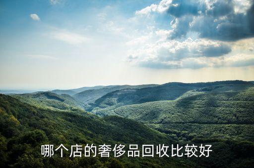 哪个店的奢侈品回收比较好