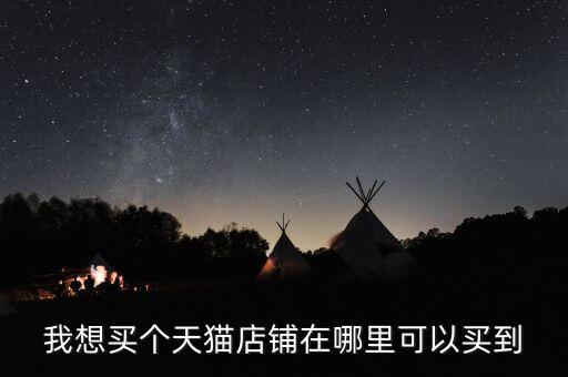 我想买个天猫店铺在哪里可以买到