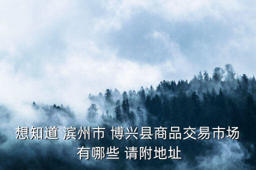 博兴酒水批发市场，想知道 滨州市 博兴县商品交易市场 有哪些 请附地址