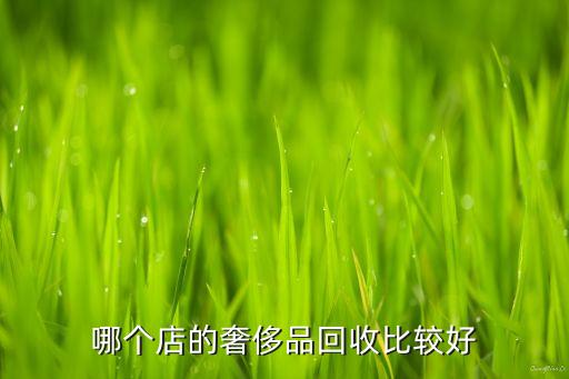 哪个店的奢侈品回收比较好