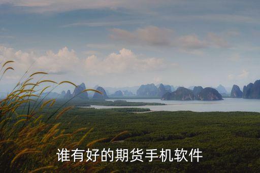 谁有好的期货手机软件