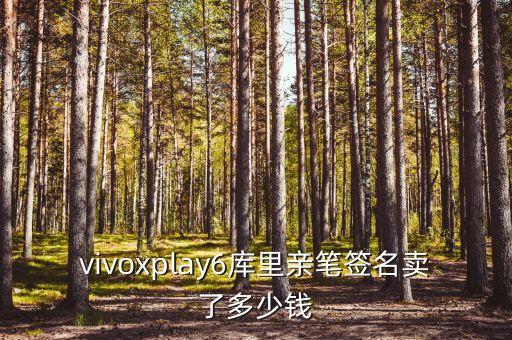 vivoxplay6库里亲笔签名卖了多少钱