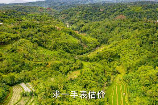 求一手表估价