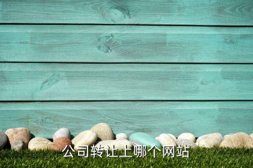 公司转让上哪个网站