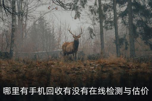 哪里有手机回收有没有在线检测与估价