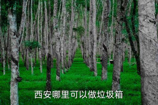 西安哪里可以做垃圾箱