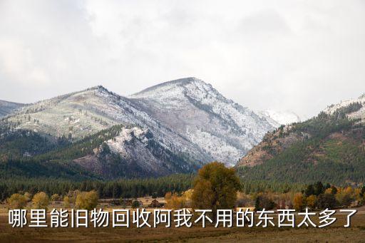 哪里能旧物回收阿我不用的东西太多了