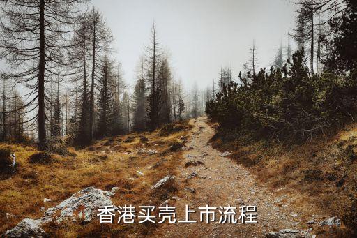 香港买壳上市流程