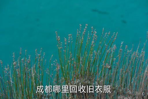 成都哪里回收旧衣服