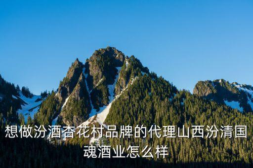 杏花村汾酒加盟代理，听说山西醇香典雅酒业的汾酒杏花村代理很火有知道的吗