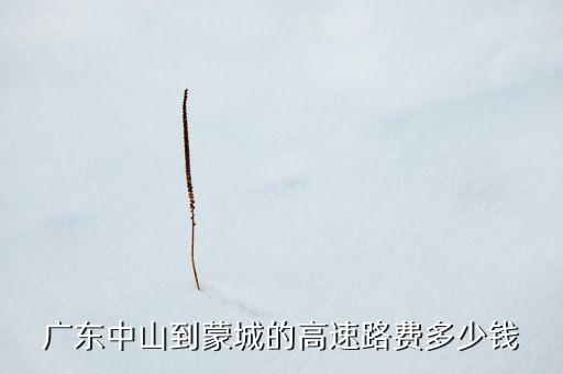 广东中山到蒙城的高速路费多少钱
