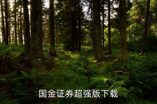 国金证券超强版下载
