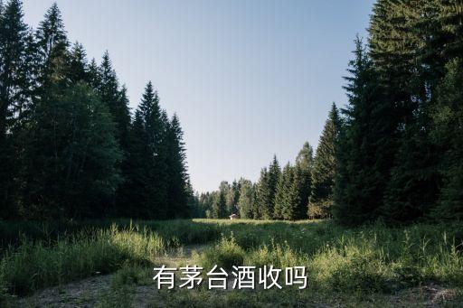 有茅台酒收吗