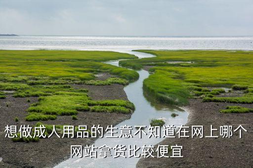 成人用品一件代发货源拼多多，情趣用品一件代发哪里有
