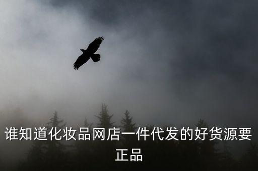 谁知道化妆品网店一件代发的好货源要正品