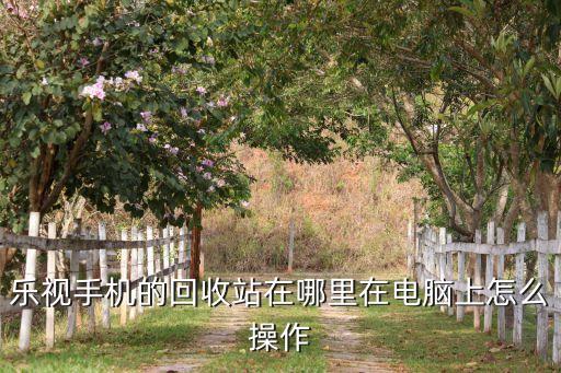 乐视手机的回收站在哪里在电脑上怎么操作