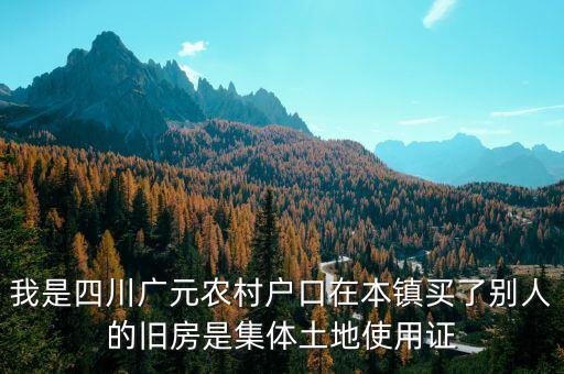 我是四川广元农村户口在本镇买了别人的旧房是集体土地使用证