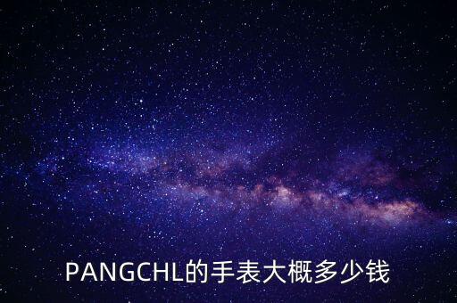PANGCHL的手表大概多少钱