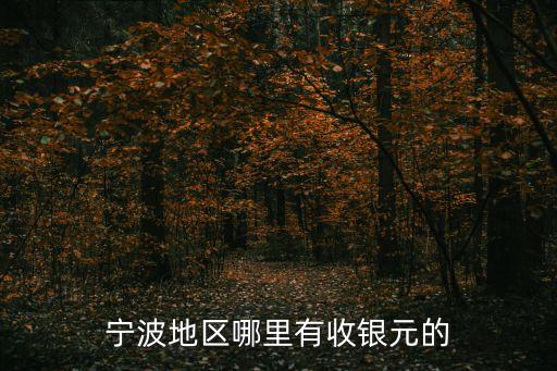 宁波地区哪里有收银元的