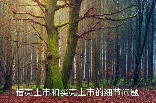借壳上市和买壳上市的细节问题