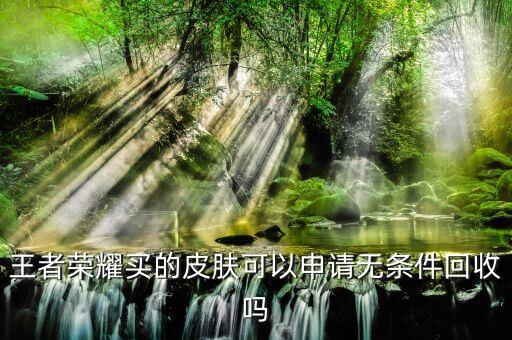王者荣耀买的皮肤可以申请无条件回收吗