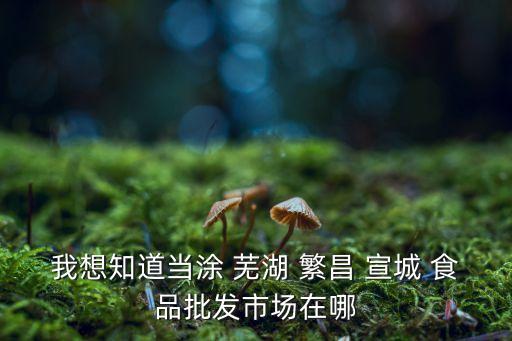 我想知道当涂 芜湖 繁昌 宣城 食品批发市场在哪