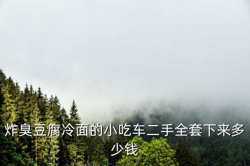 炸臭豆腐冷面的小吃车二手全套下来多少钱
