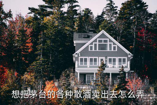 想把茅台的各种散酒卖出去怎么弄