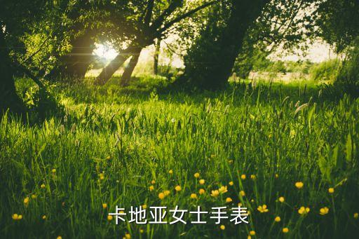 卡地亚表官方官网，有卡地亚表官网吗