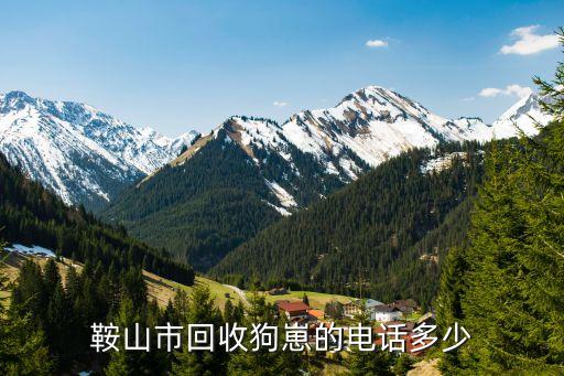 鞍山市回收狗崽的电话多少