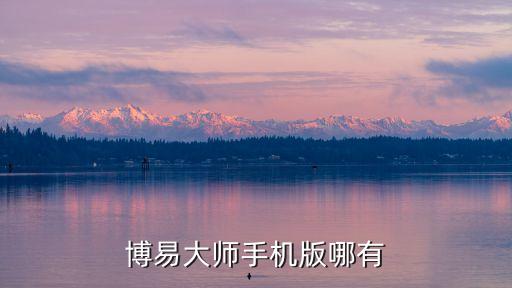 博易大师手机版哪有